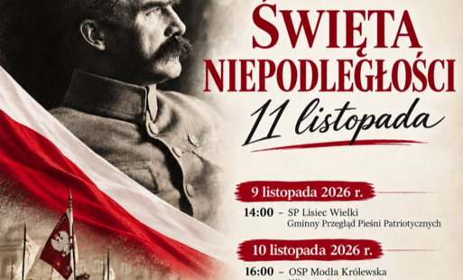 Zdjęcie do Obchody 11 Listopada